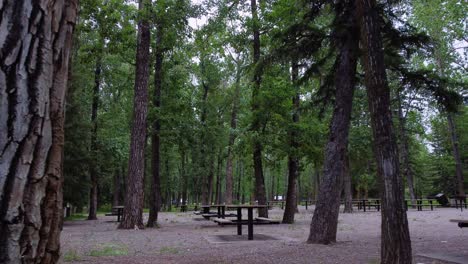 Leerer-Park-Mit-Tischen-Und-Bänken-Am-Morgen