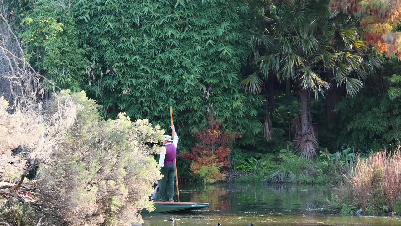 persona navegando por exuberantes jardines botánicos