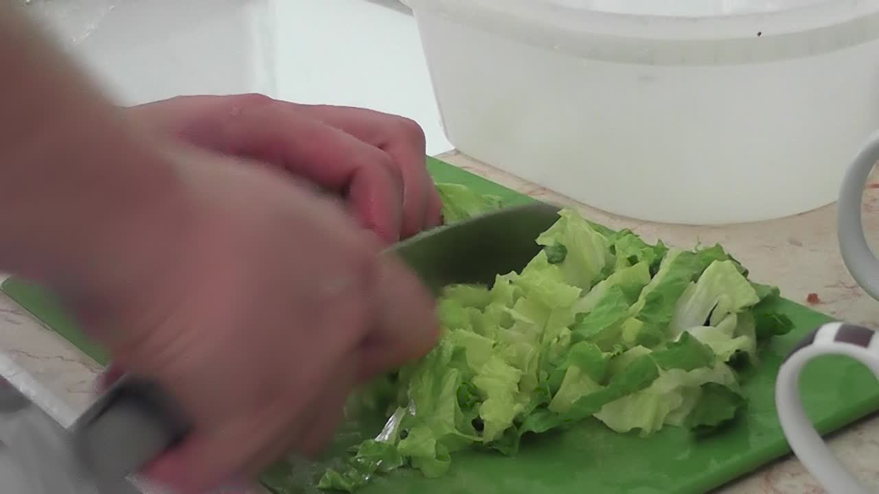Male hands cutting lettuce