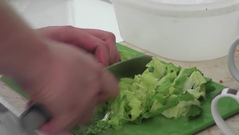 male hands cutting lettuce