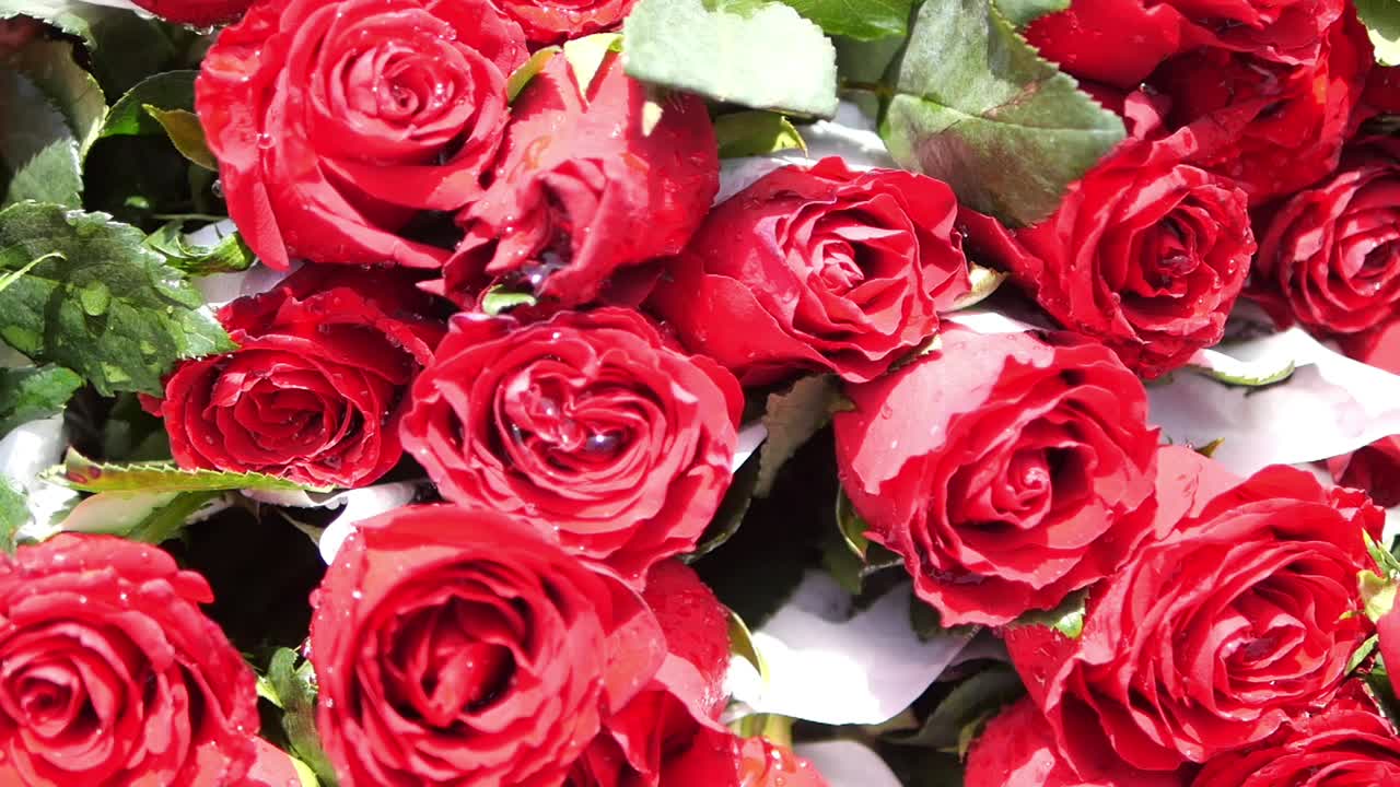 赤いバラの花束