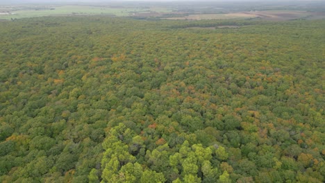 reserva de lamone, un gran bosque en el centro de italia