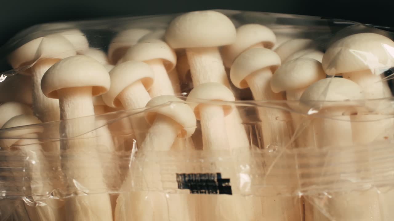 Fresh White Mushrooms in Plastic Packaging