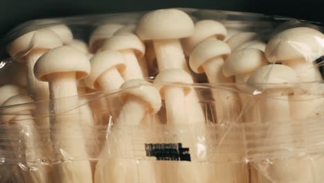 fresh white mushrooms in plastic packaging