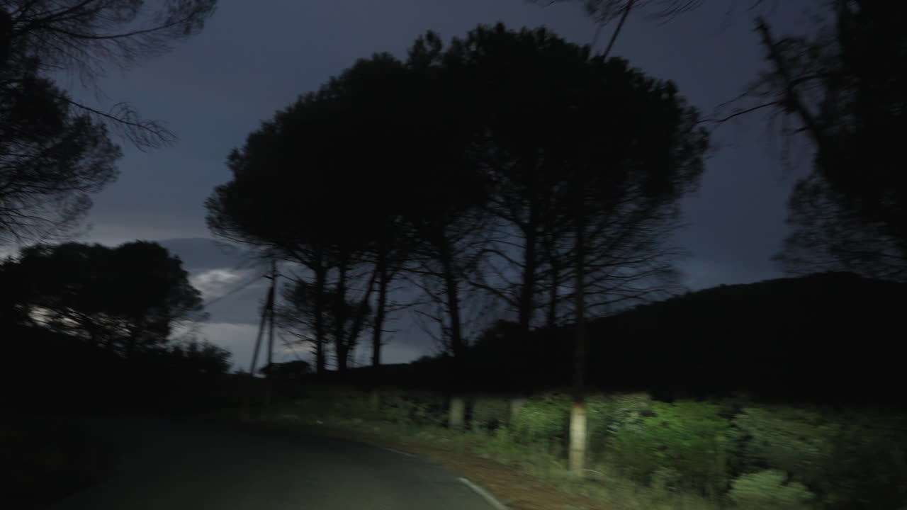 El camino de la noche con los árboles