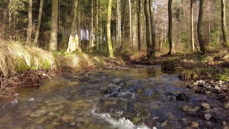 Der-Fluss-Im-Herbstwald-Und-Die-Sonne,-Die-Durch-Das-Laub-Scheint