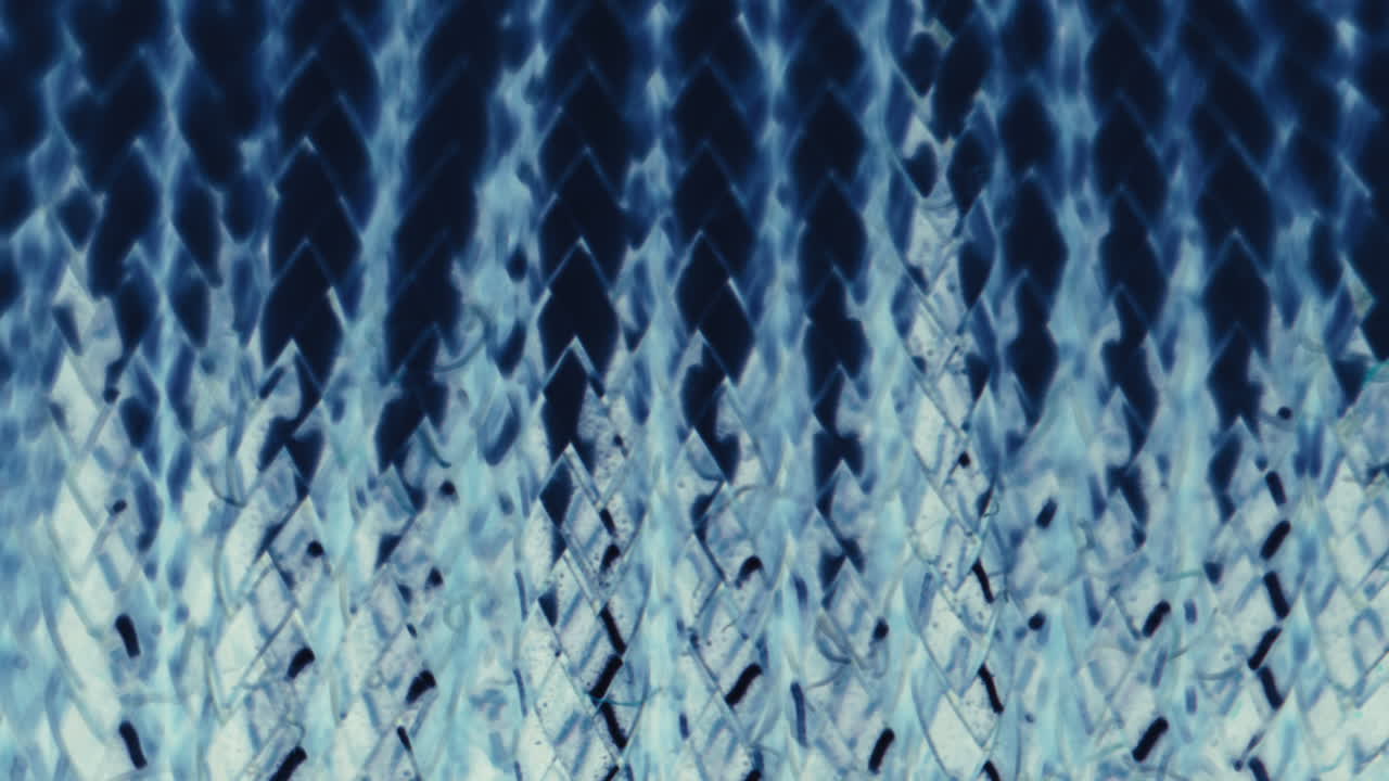 Microscopic Biological Tissue Sample