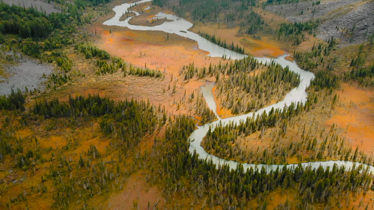 vista aérea del río y el bosque