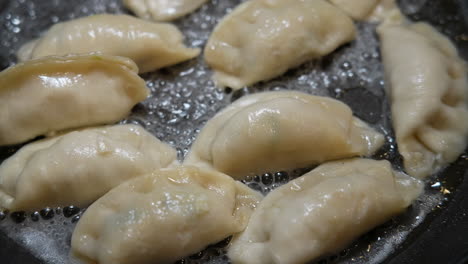 frying japanese gyoza dumplings in a sauce pan