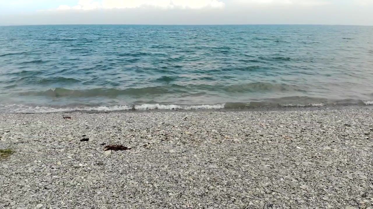 Blide bølger, der ruller ind på en stenstrand