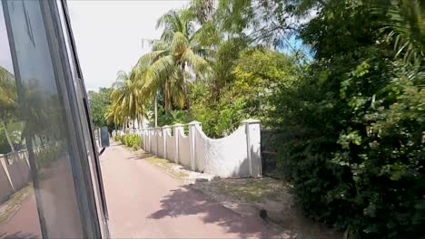 view out window of bus going down road on tropical island