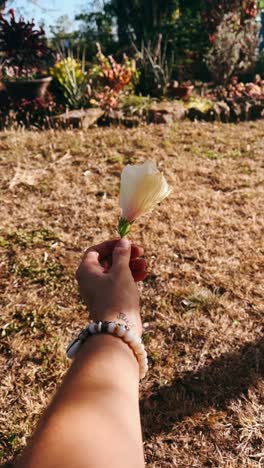 mujer sosteniendo una flor amarilla pálida