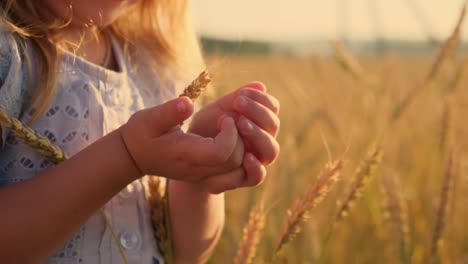 little girl in a wheat field