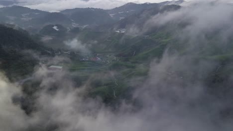 antena: campos de té en cameron highlands
