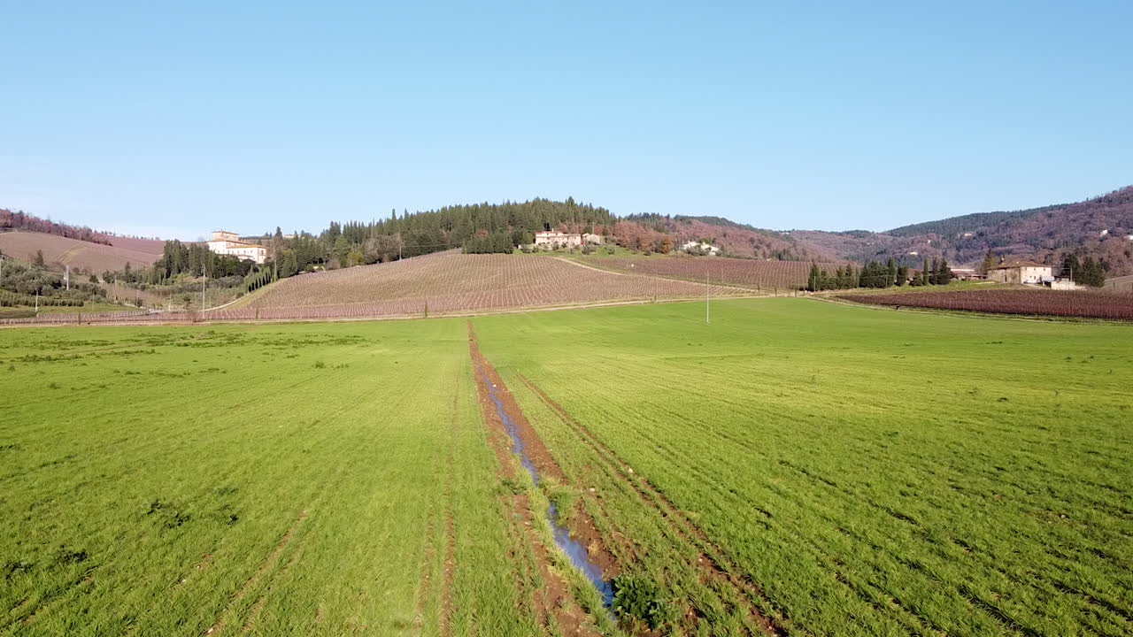 antena sobre campo verde de pan y cereales en las colinas toscanas durante el día soleado con viña chianti frescobaldi en el fondo, movimiento de muñecas