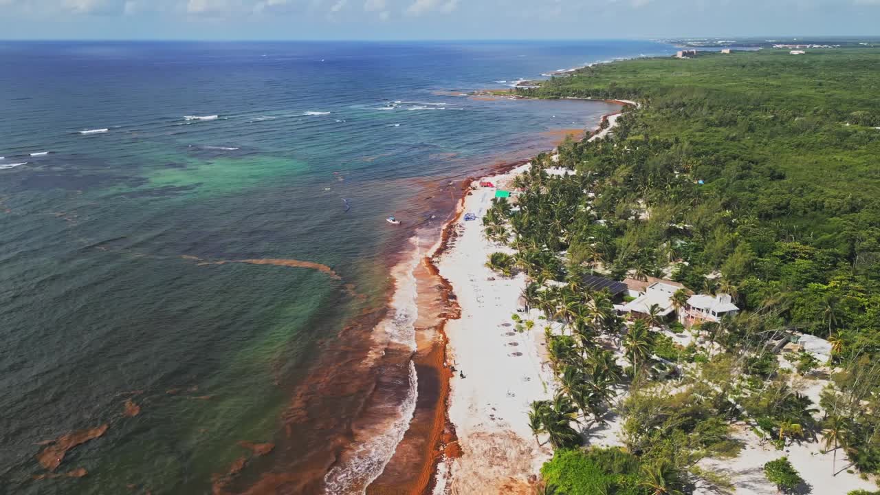 Cinematic aerial view of Mexican coastline impacted by sargassum blooms