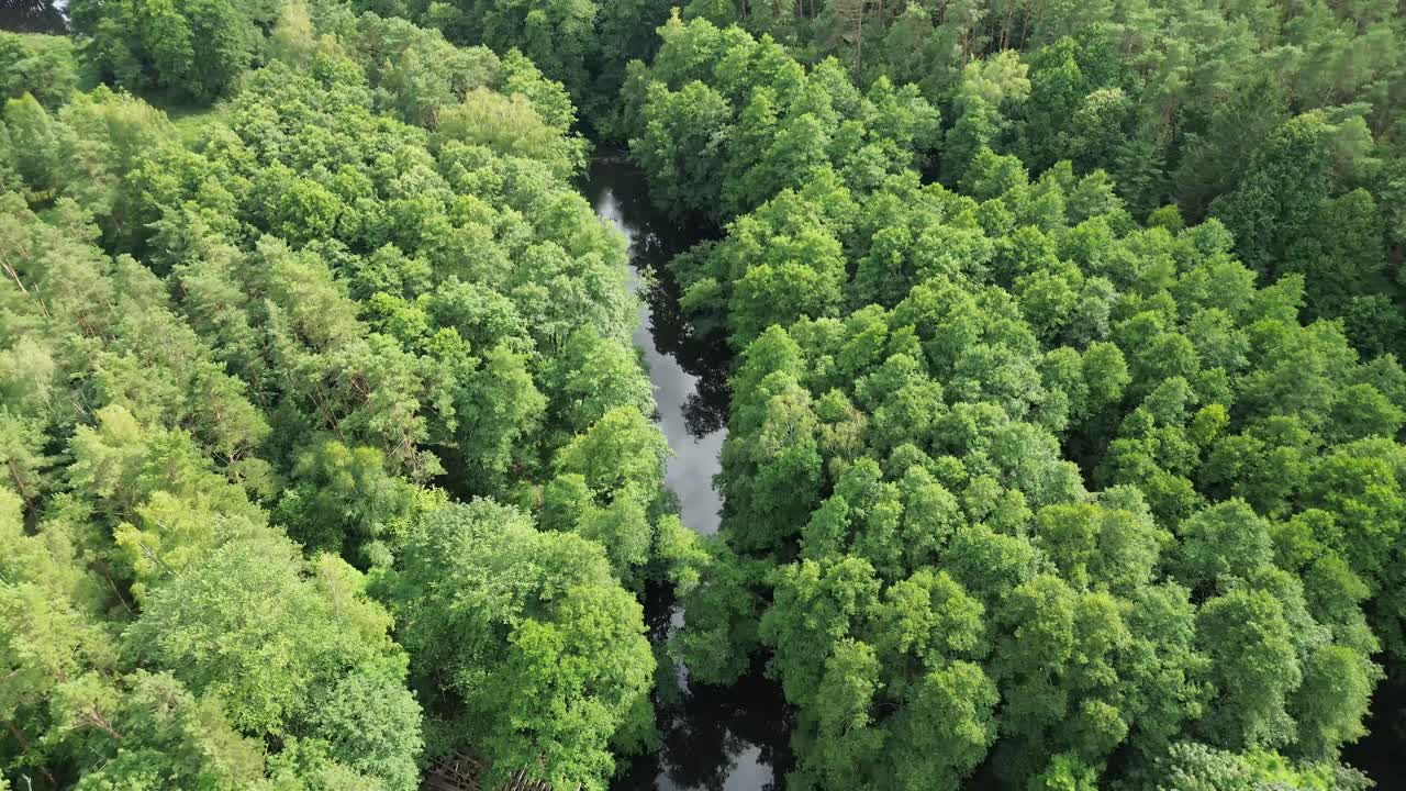 viejo puente de acero ferroviario sobre el río en el bosque verde ángulo aéreo alto