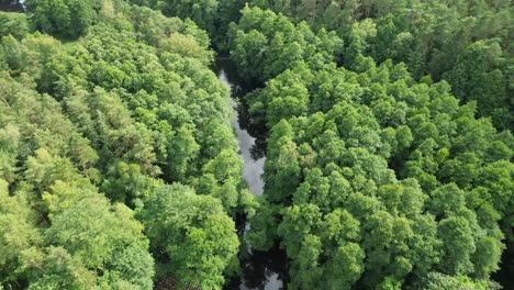 old railway steel bridge over river in green forest aerial high angle