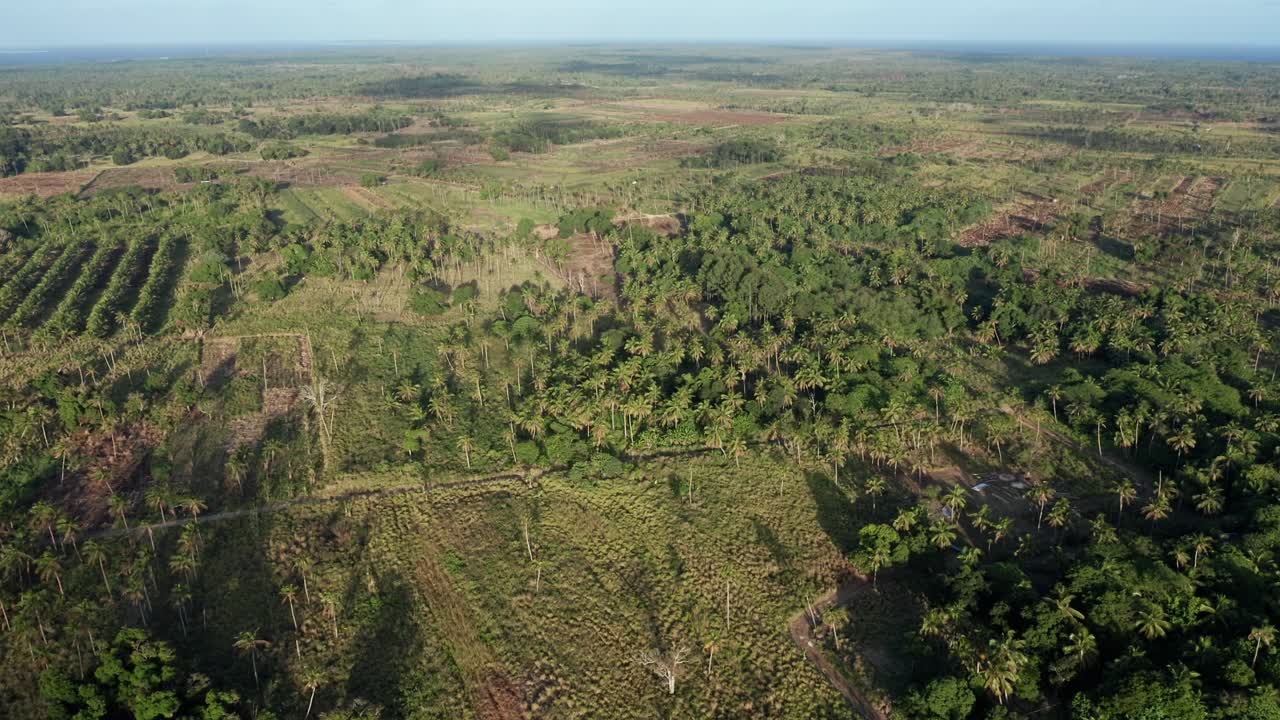 тонга, полинезия