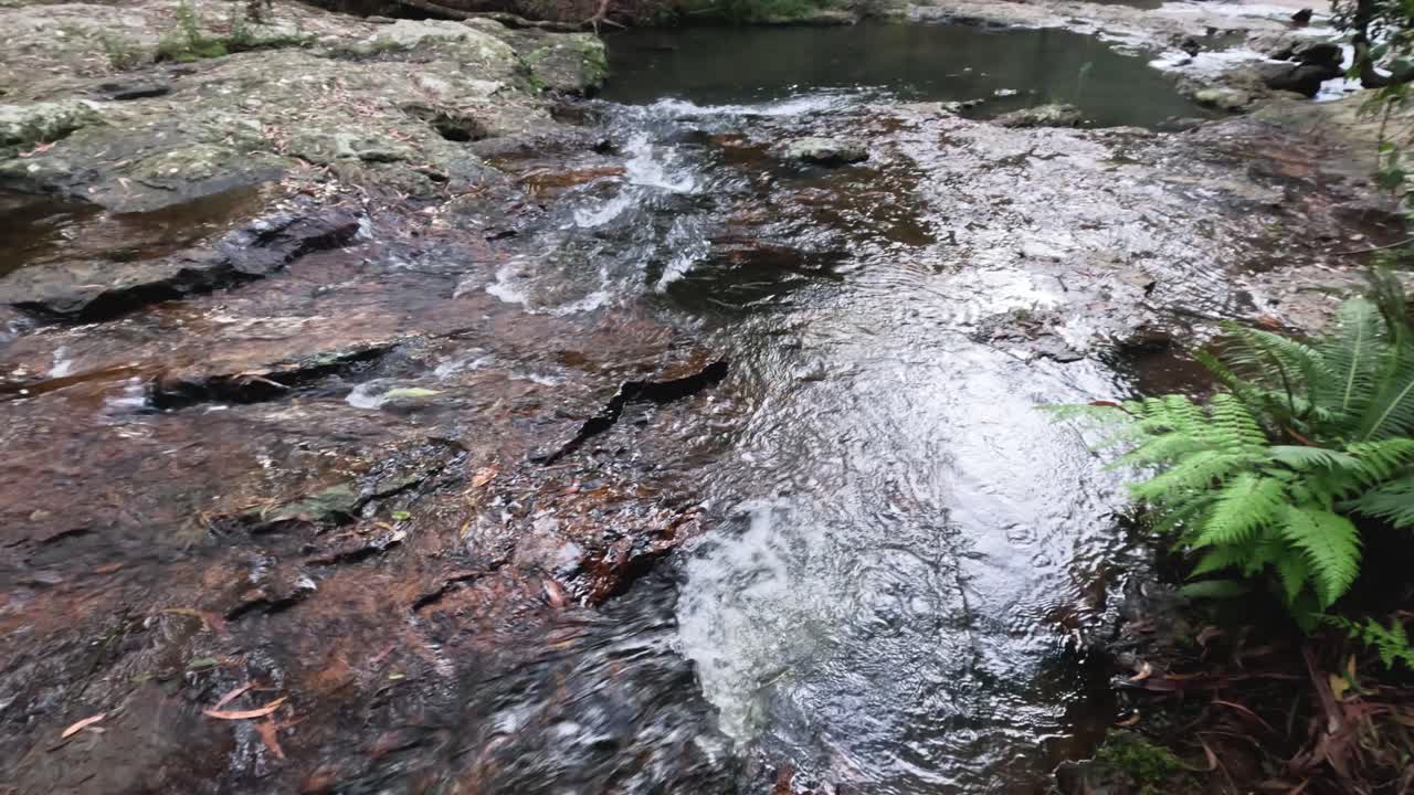 숲 속 의 하천 에서 바위 위 를 가로질러 흐르는 물