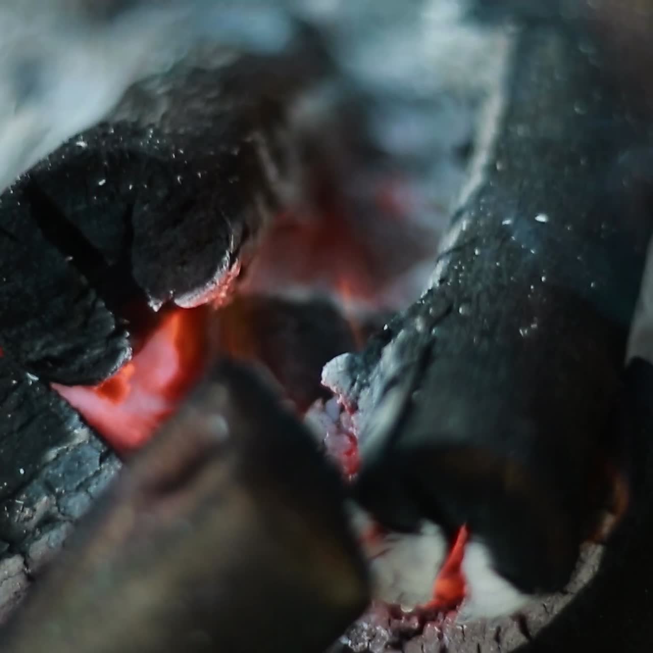 Close Up View Of Fire Flame. Warm bonfire with lots of trees ready for barbecue