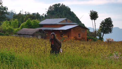 Nepali-Village-grandmother-in-millet-farm-and-traditional-house-drone-shot-4K