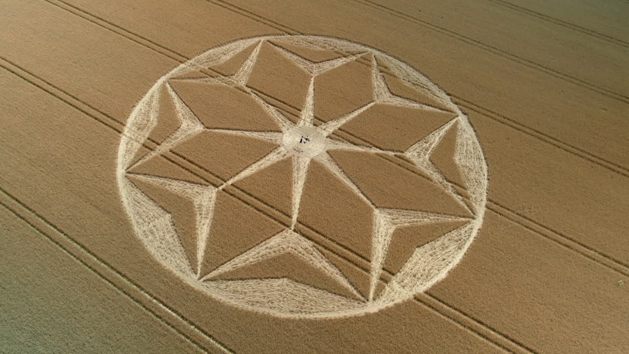 Tichborne mysterious golden farmland geometric flower pattern crop circle aerial view descending push in
