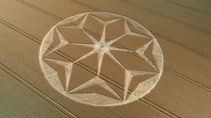 Tichborne mysterious golden farmland geometric flower pattern crop circle aerial view descending push in