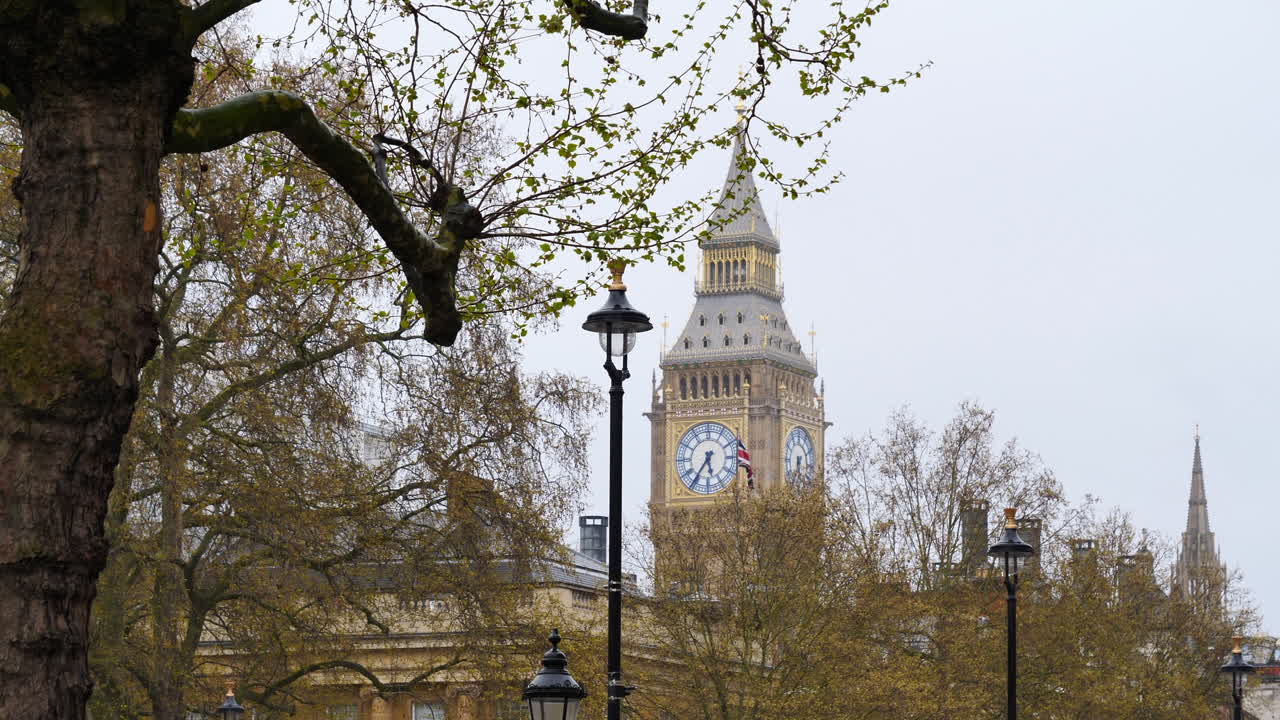 나무 들 을 통해 볼 수 있는 빅 벤 의 아름다운 장면, 영국  ⁇ 발 이 날아다니고 있다
