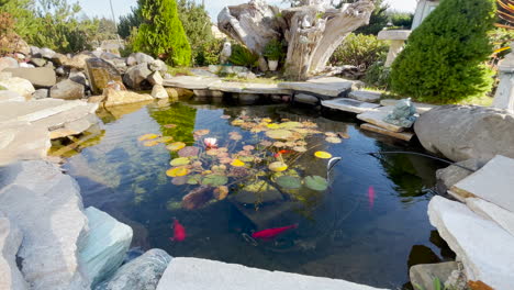 zen backyard landscape design with koi pond