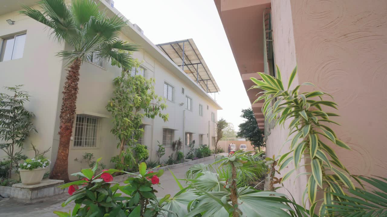 A hospital building in Arabic style with a palm tree in the courtyard.