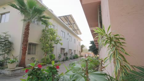 A hospital building in Arabic style with a palm tree in the courtyard.