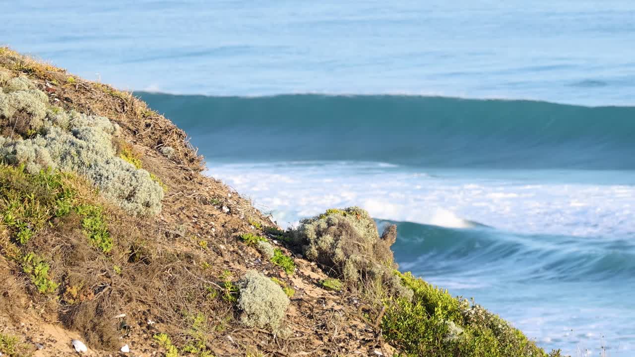 Ocean waves gently roll past a rocky, plant-covered coastal slope under a clear blue sky.