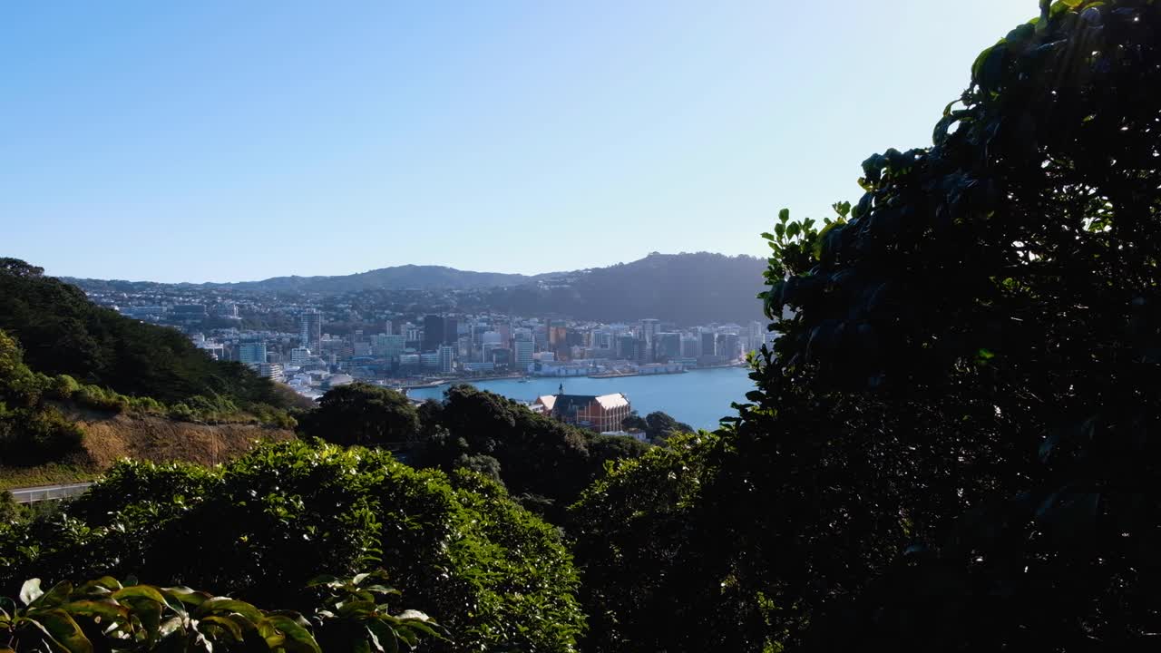 Vista panoramica attraverso gli alberi del Monte Vic che si affaccia sulla città di Wellington, sul porto e sul lungomare nella capitale della Nuova Zelanda Aotearoa