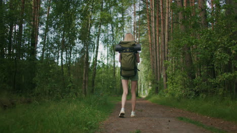 view from the back mobile phone in the hands of a female traveler with a backpack walking through the forest. social networks navigator and messenger. use your mobile phone for a walk in the woods