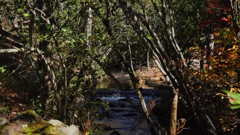 Small-water-fall-flowing-through-Amicalola-Georgia