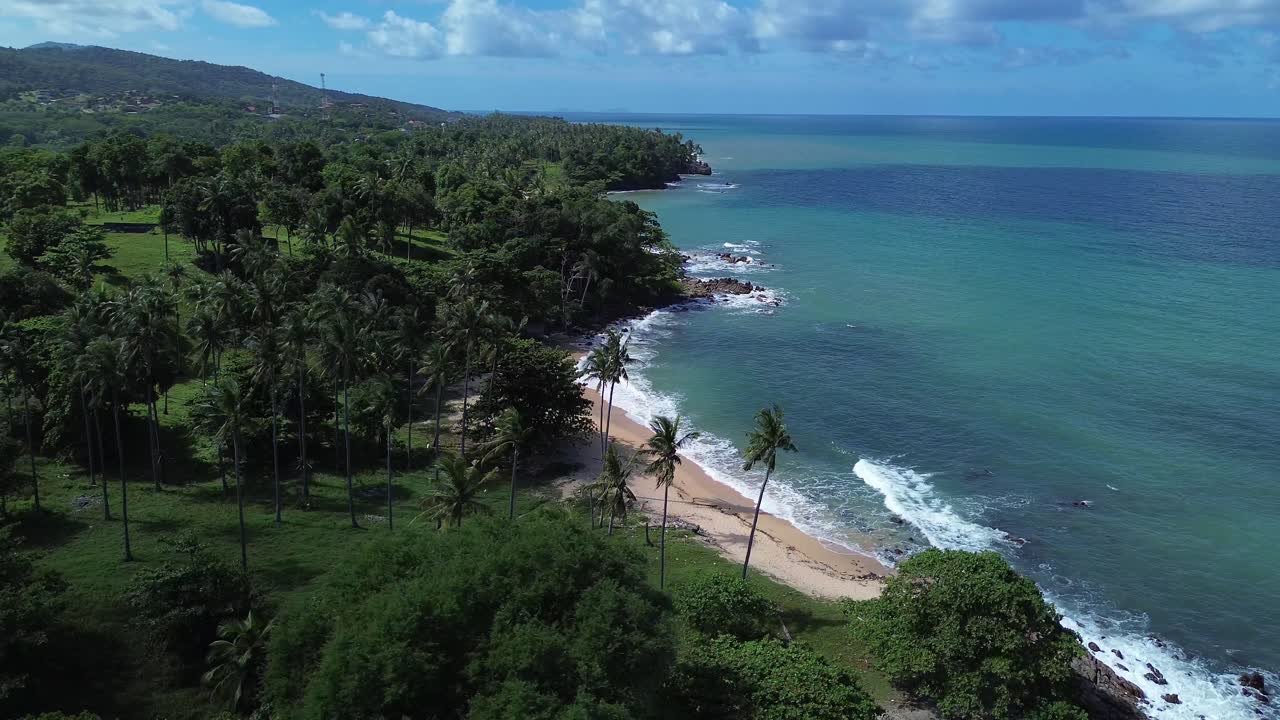 Aerial drone rising above lush palm trees on Koh Lanta, Thailand, revealing a hidden tropical beach and wide open turquoise ocean in the background with pristine coastal scenery