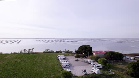 la granja de ostras flota con gracia en el agua, un grupo de estructuras y redes diseñadas para nutrir y cultivar estos preciados mariscos
