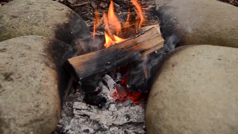 chopped logs burning on smoky hot campfire.close up