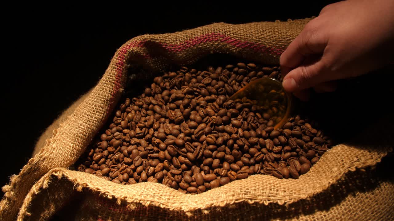 Grãos de Café Torrados Sendo Retirados de um Saco de Estopa