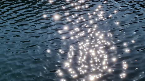 A calm, shimmering pond reflecting sunlight in Hama Rikyu Gardens, Tokyo, outdoors