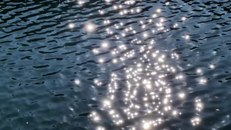 a calm, shimmering pond reflecting sunlight in hama rikyu gardens, tokyo, outdoors