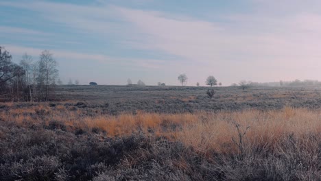 Raureif-Auf-Gras-Und-Landwirtschaftlichen-Feldern-Am-Kalten-Morgen,-Panorama-Auf-Der-Veluwe,-Niederlande