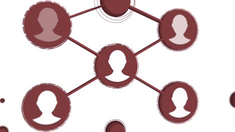 red de personas