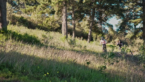 people mountain biking in a forest