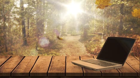 hojas de otoño cayendo contra la computadora portátil 4k