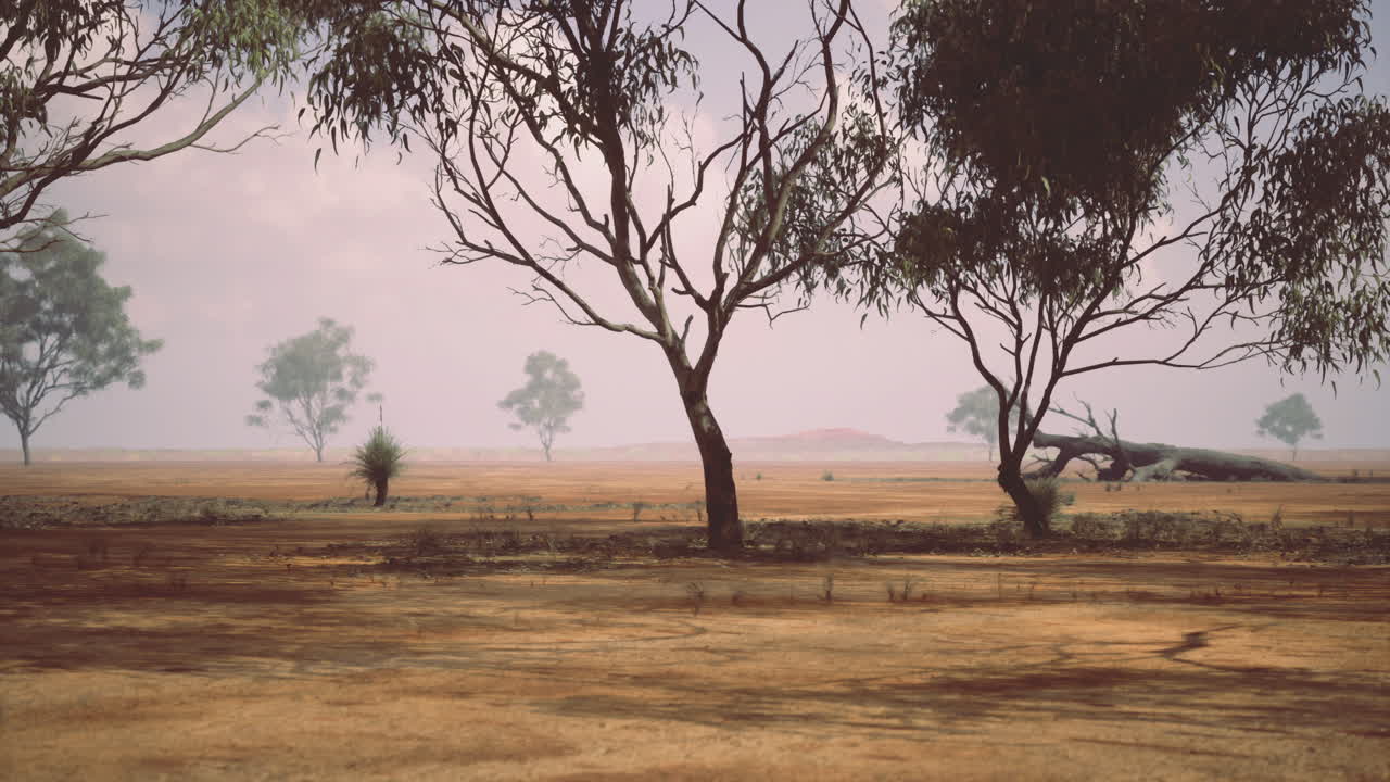 Paisagem desolada na estação seca com vegetação esparsa na Austrália