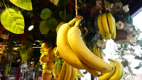 hanging bananas display