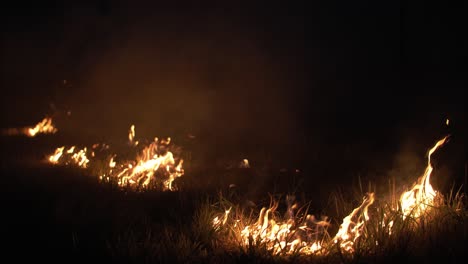 wildfire at night