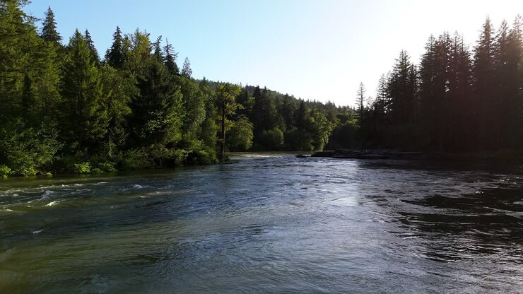 Scenic low flying shot of peaceful flowing Snoqualmie River in Evergreen forest in Washington State